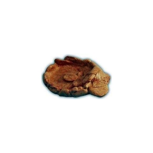 Comus Water Bowl