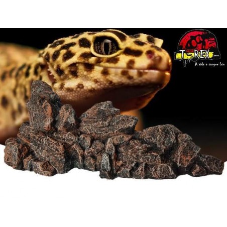 Kit Rochas do Deserto | Terrário | Decoração | Pogona