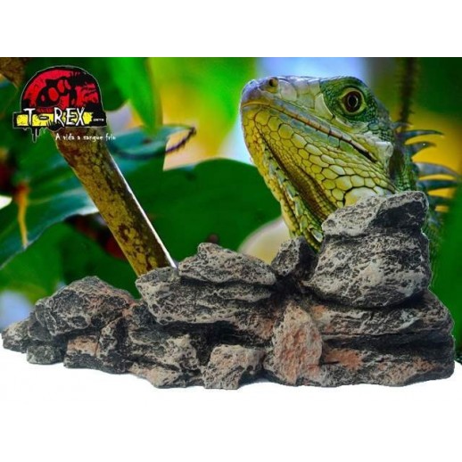 Kit Rochas do Deserto | Terrário | Decoração | Pogona