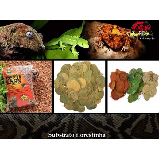 Kit Floresta - ReptiBark e Folhagens Répteis | Terrário