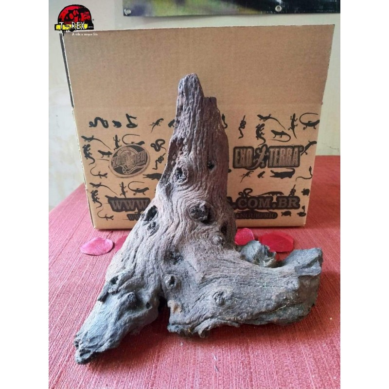 Tronco Natural 01