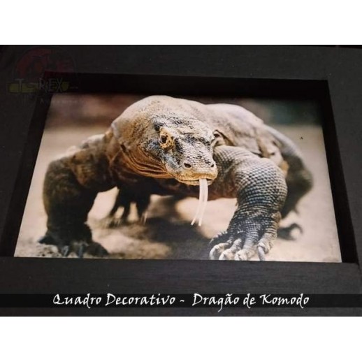 Quadro Herpetofauna