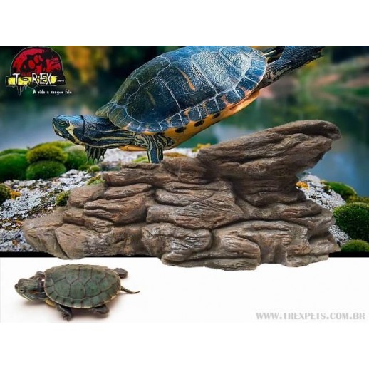 Plataforma de tartaruga