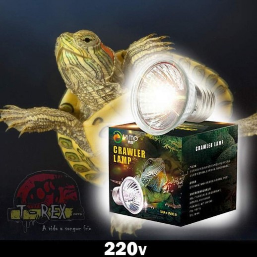Lampada uvb tartaruga
