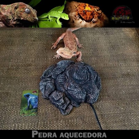 Pedra Aquecida Terrario