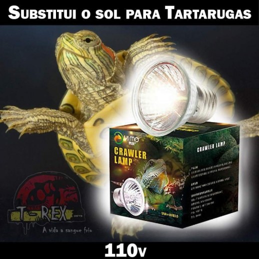 Lampada tartaruga de aquario