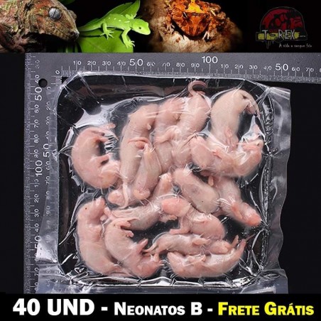 ratos congelado para cobras