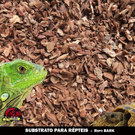 substrato para répteis
