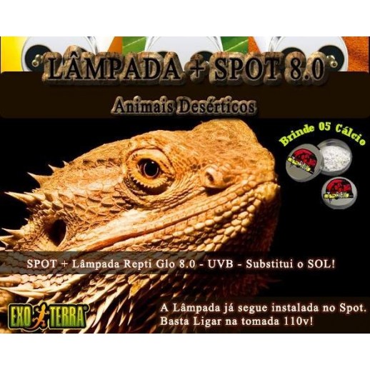 Kit Lâmpada "Sol Desértico" + Spot 