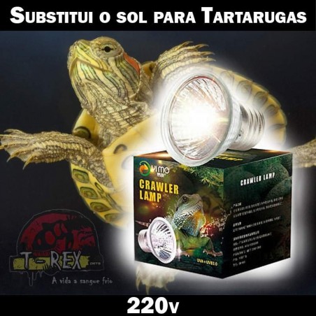 Lâmpada para tartaruga de aquário