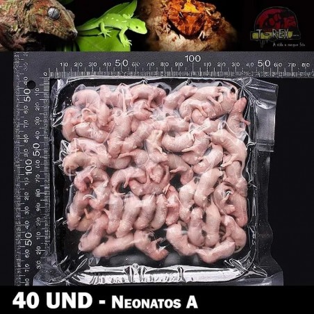ratos congelados para cobra
