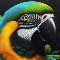 Produtos para Aves - Alimentação, Acessórios e Mais | T-RexPets: Especialistas em Bem-Estar Aviário