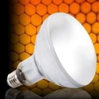 Garanta o conforto e a saúde da sua Corn Snake com nossos produtos de aquecimento e iluminação