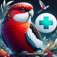 Umidificador